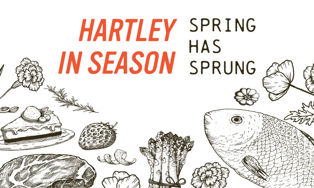 Graphic the reads: Hartley In Season