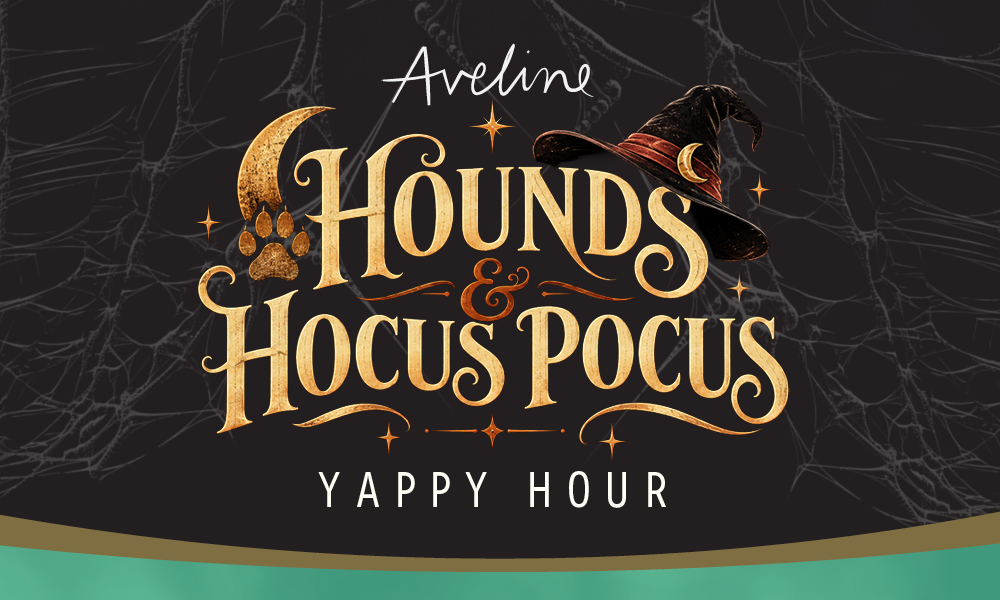 Hounds and Hocus Pocus Yappy Hour web tile
