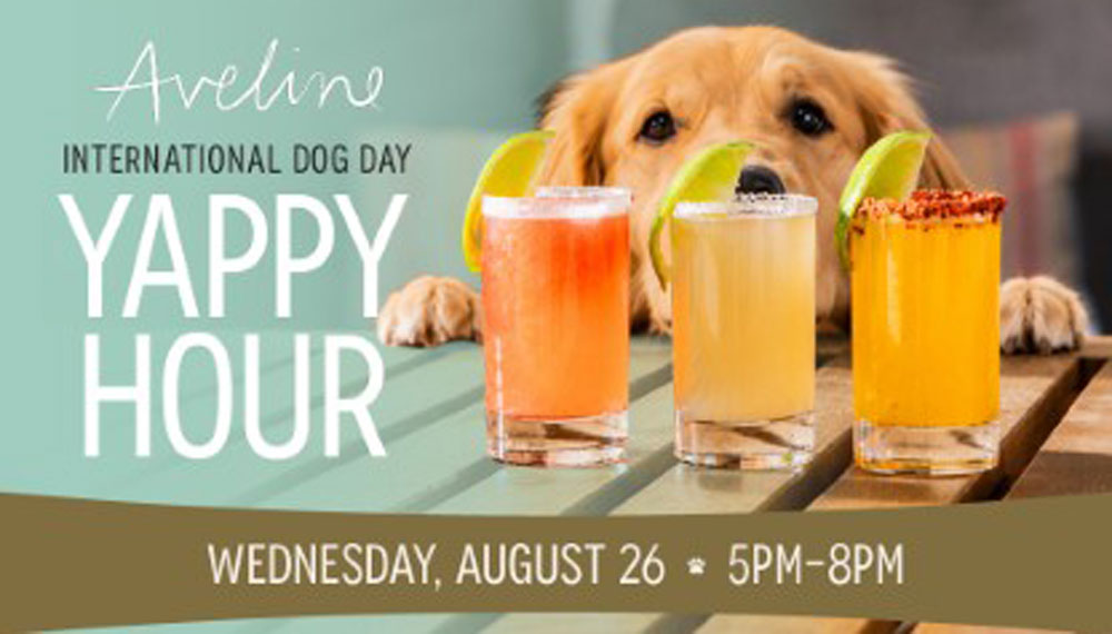 Dog shown with cocktail samples on promotional graphic reading "Aveline International Dog Day Yappy Hour"