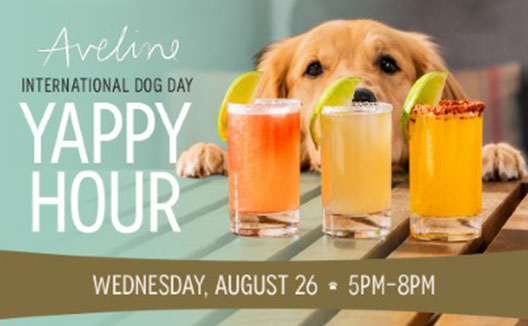 Dog shown with cocktail samples on promotional graphic reading "Aveline International Dog Day Yappy Hour"